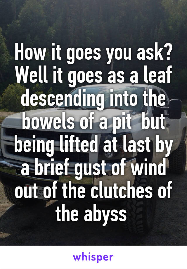 How it goes you ask? Well it goes as a leaf descending into the bowels of a pit  but being lifted at last by a brief gust of wind out of the clutches of the abyss 