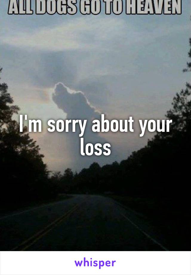 I'm sorry about your loss