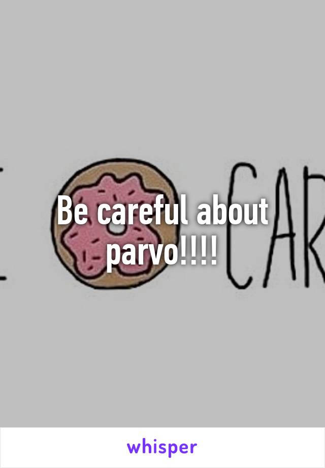 Be careful about parvo!!!!