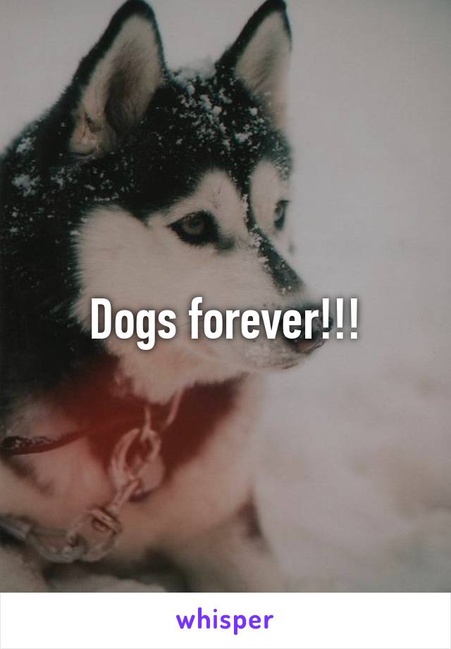 Dogs forever!!!