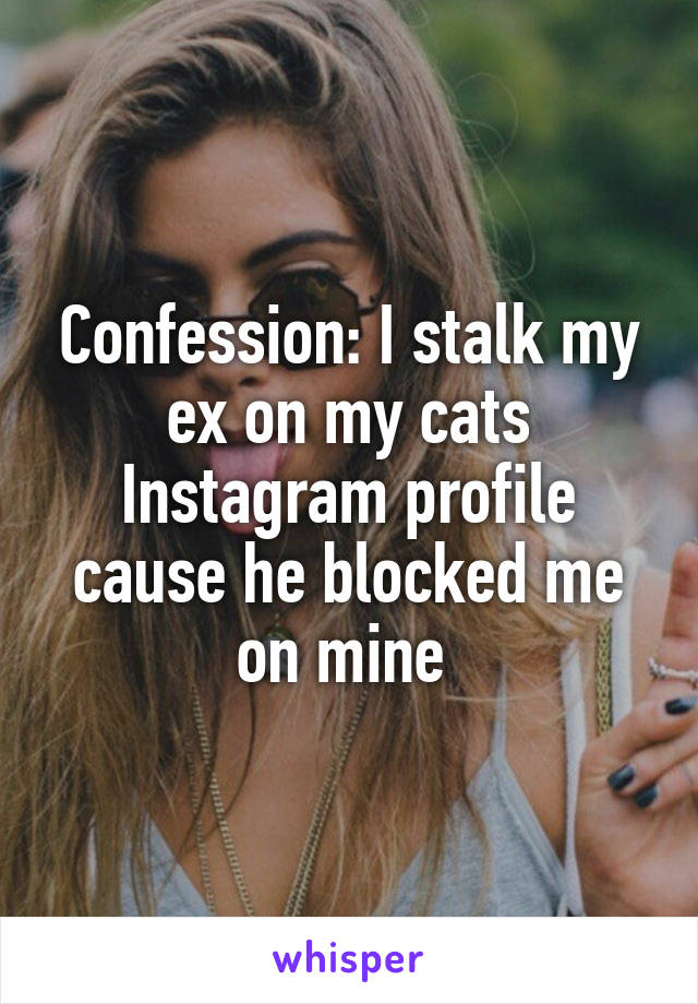 Confession: I stalk my ex on my cats Instagram profile cause he blocked me on mine 