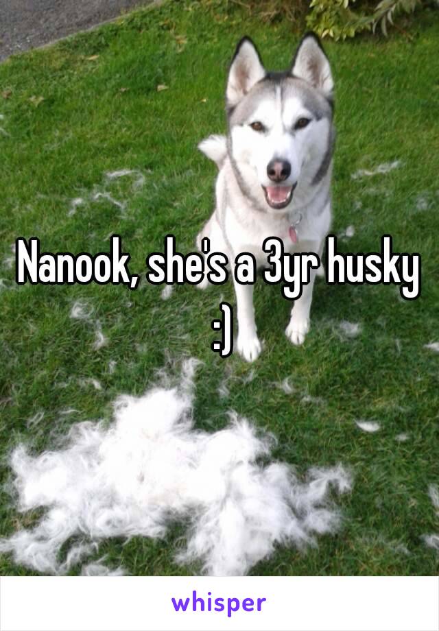 Nanook, she's a 3yr husky :)