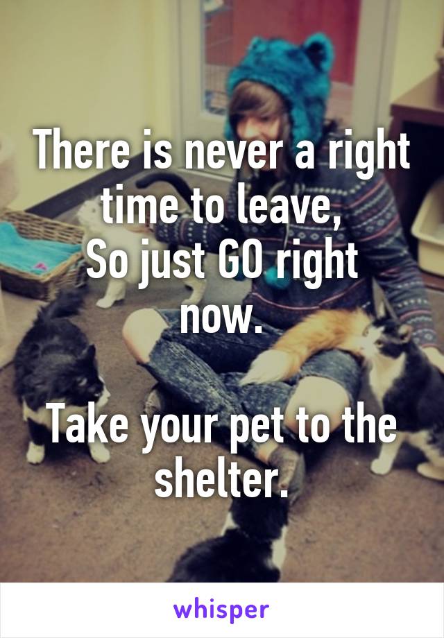 There is never a right time to leave,
So just GO right now.

Take your pet to the shelter.