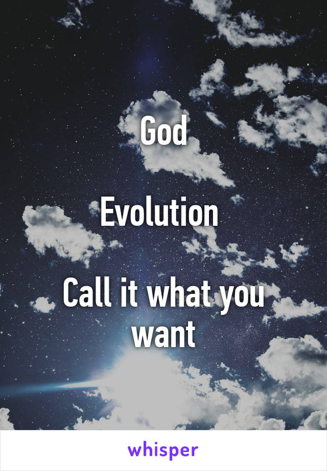 God

Evolution 

Call it what you want