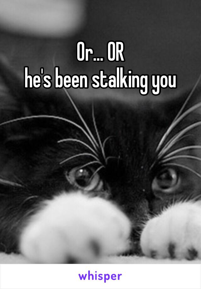 Or... OR
he's been stalking you