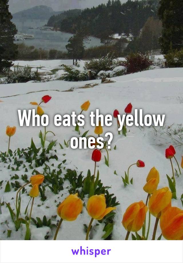 Who eats the yellow ones?