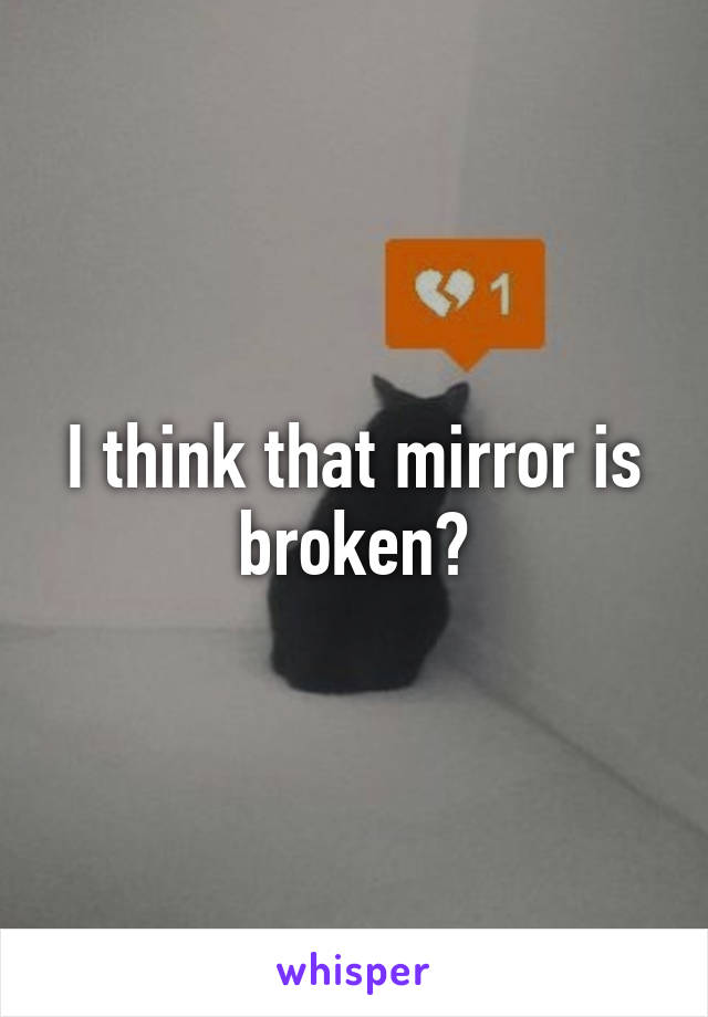 I think that mirror is broken?