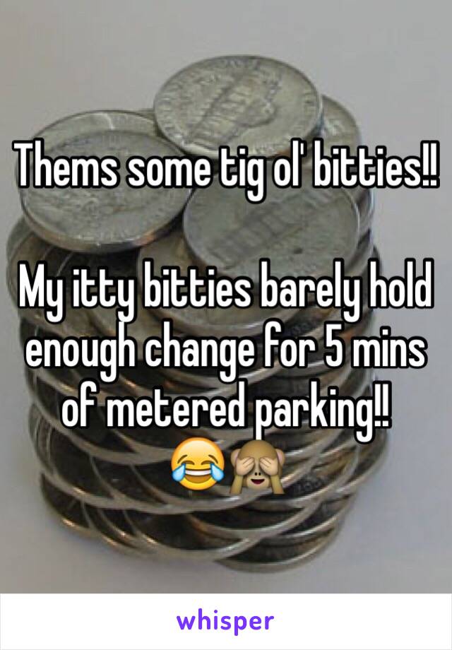 Thems some tig ol' bitties!! 

My itty bitties barely hold enough change for 5 mins of metered parking!! 
😂🙈