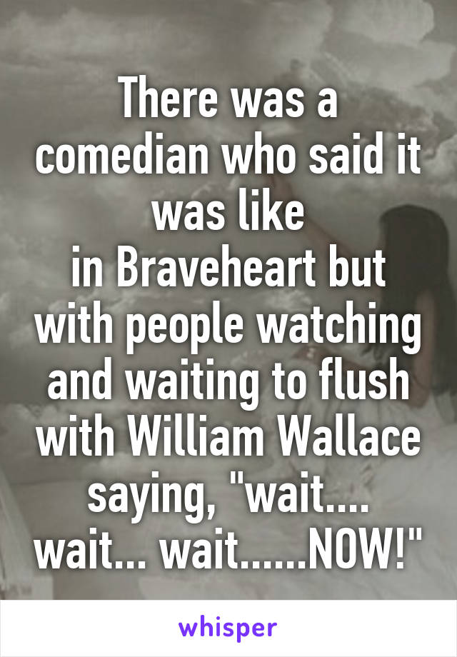 There was a comedian who said it was like
in Braveheart but with people watching and waiting to flush with William Wallace saying, "wait.... wait... wait......NOW!"