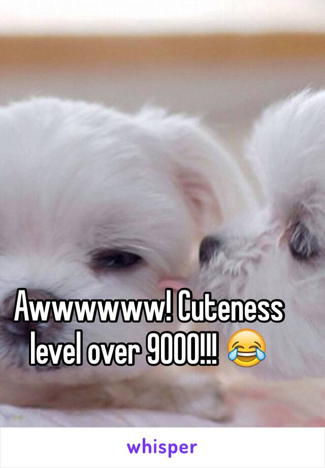 Awwwwww! Cuteness level over 9000!!! 😂