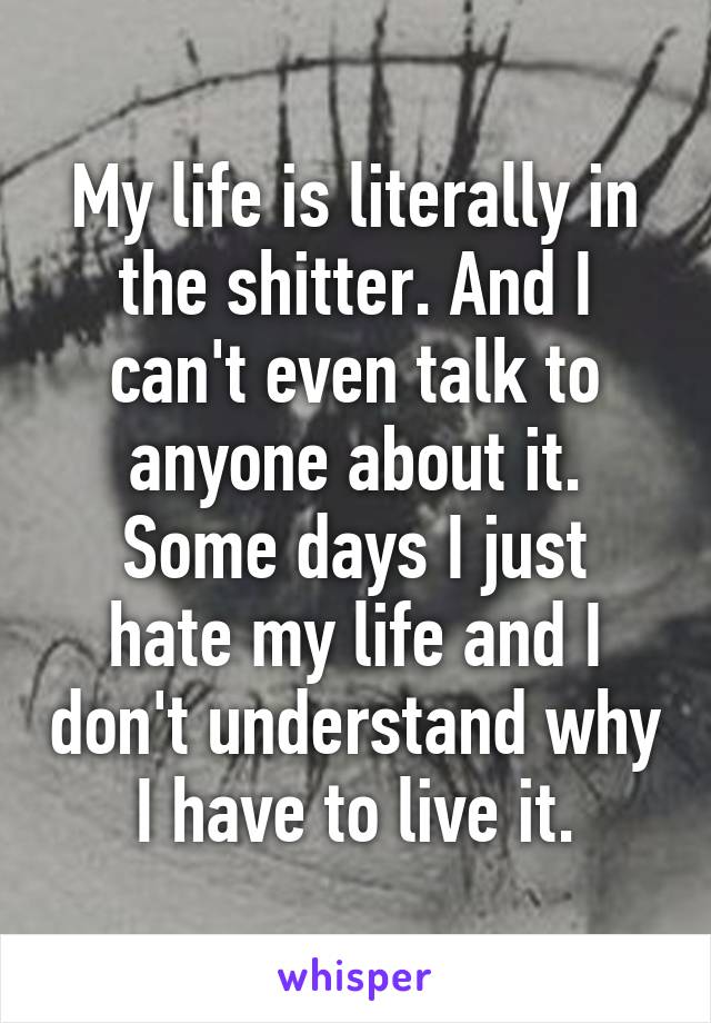 My life is literally in the shitter. And I can't even talk to anyone about it.
Some days I just hate my life and I don't understand why I have to live it.