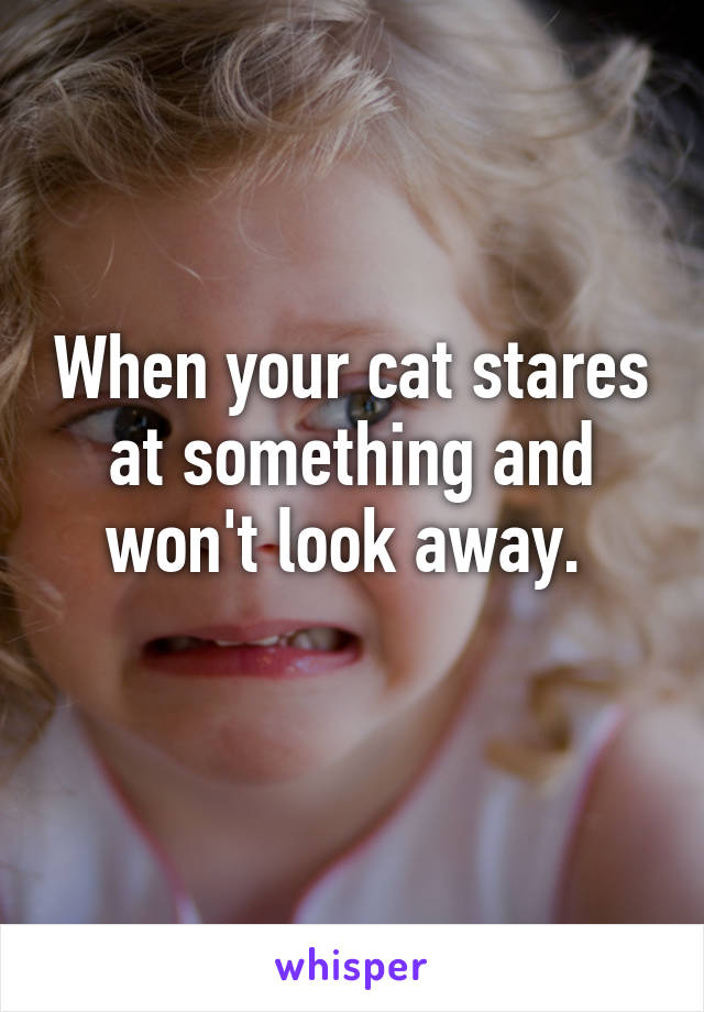 When your cat stares at something and won't look away. 
