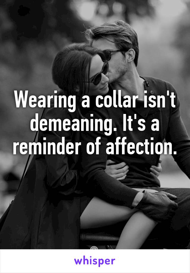 Wearing a collar isn't demeaning. It's a reminder of affection. 