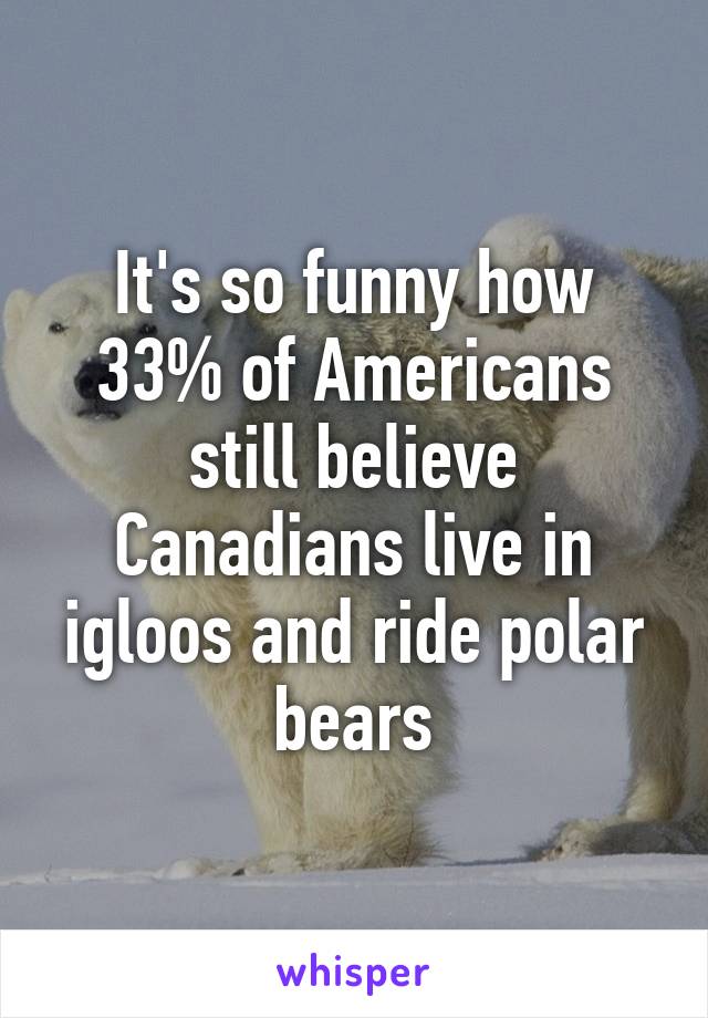 It's so funny how 33% of Americans still believe Canadians live in igloos and ride polar bears