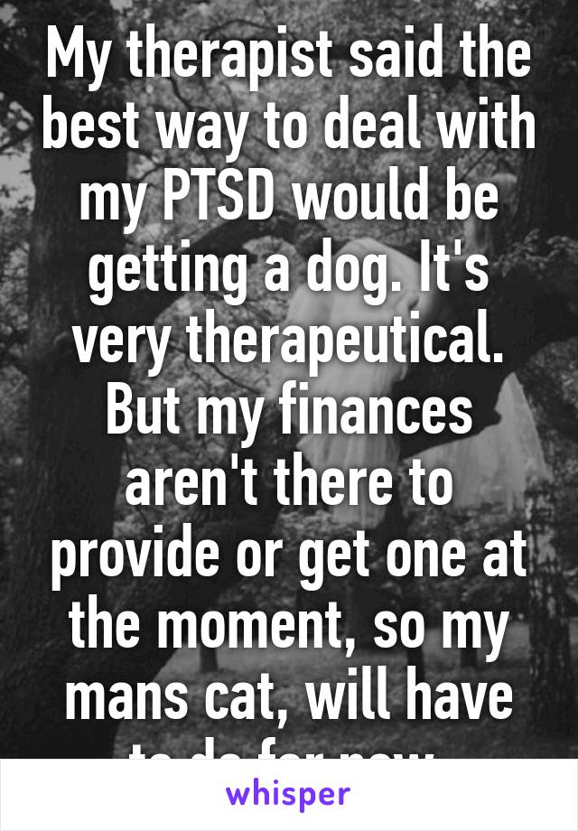 My therapist said the best way to deal with my PTSD would be getting a dog. It's very therapeutical. But my finances aren't there to provide or get one at the moment, so my mans cat, will have to do for now.