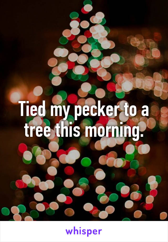 Tied my pecker to a tree this morning.