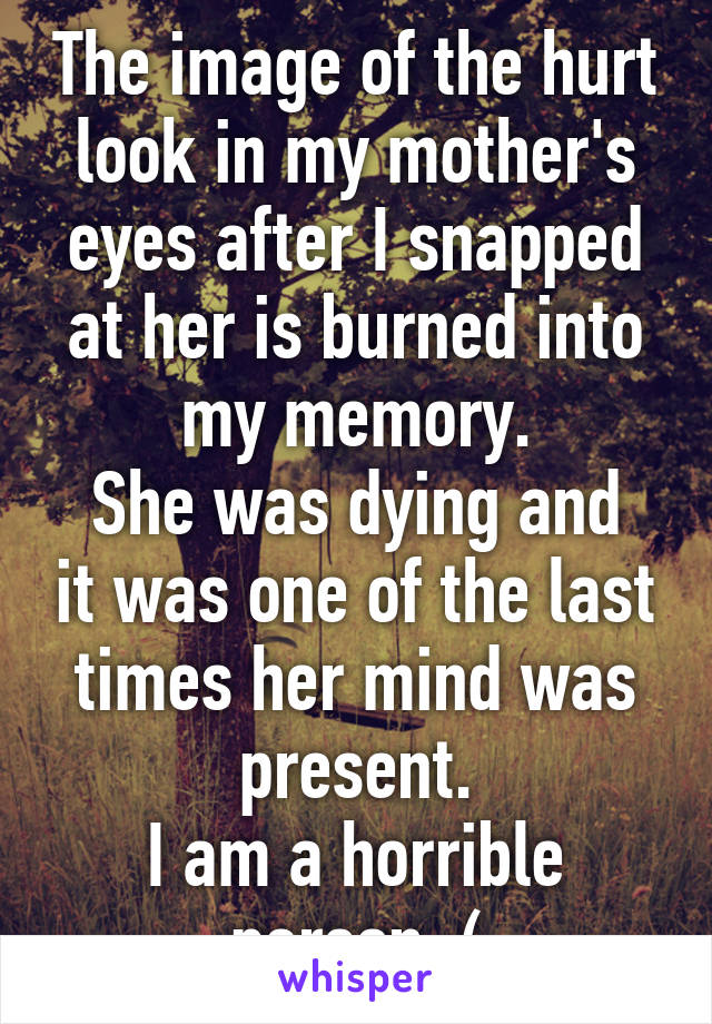 The image of the hurt look in my mother's eyes after I snapped at her is burned into my memory.
She was dying and it was one of the last times her mind was present.
I am a horrible person :(