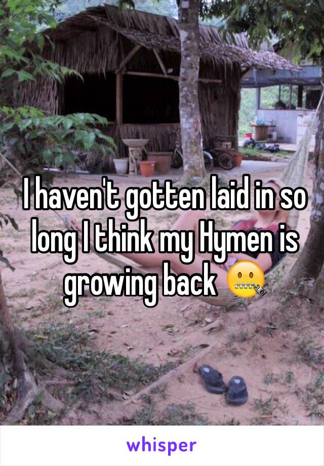 I haven't gotten laid in so long I think my Hymen is growing back 🤐