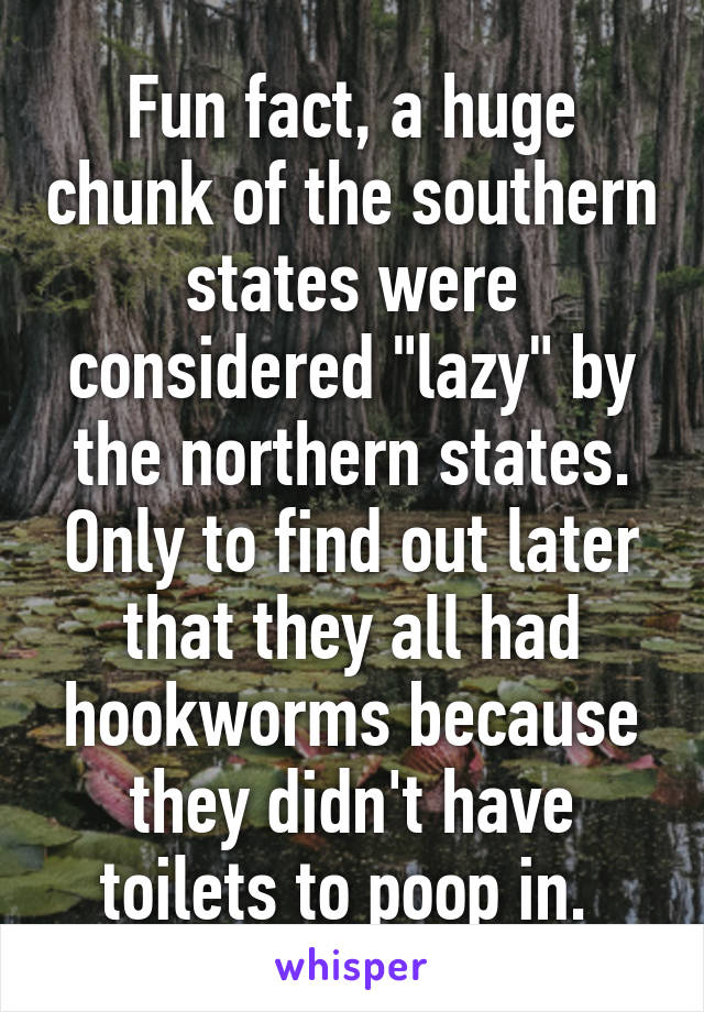 Fun fact, a huge chunk of the southern states were considered "lazy" by the northern states. Only to find out later that they all had hookworms because they didn't have toilets to poop in. 