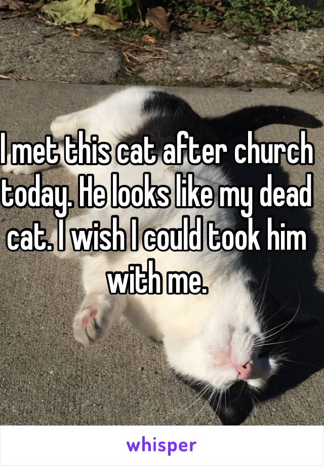 I met this cat after church today. He looks like my dead cat. I wish I could took him with me.