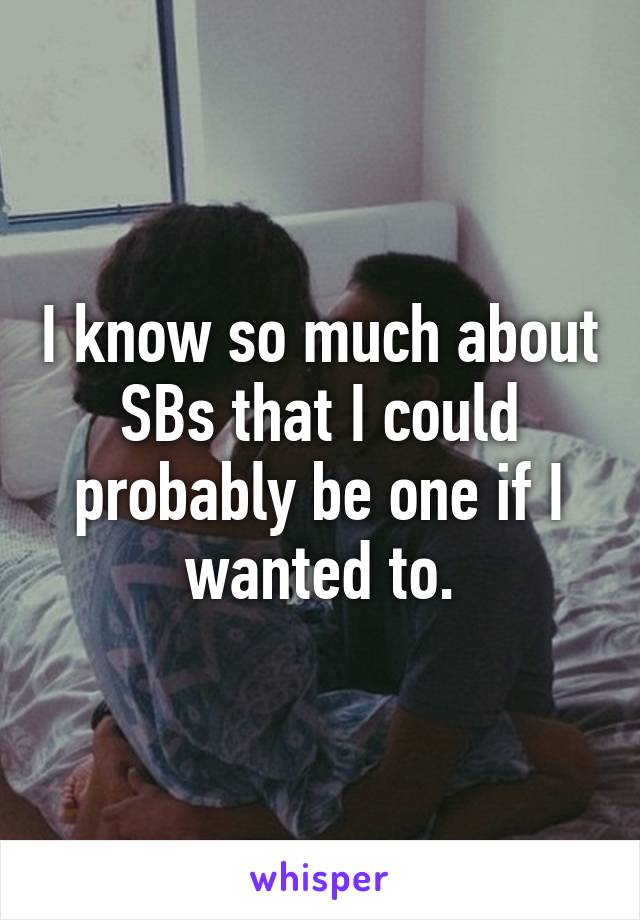 I know so much about SBs that I could probably be one if I wanted to.