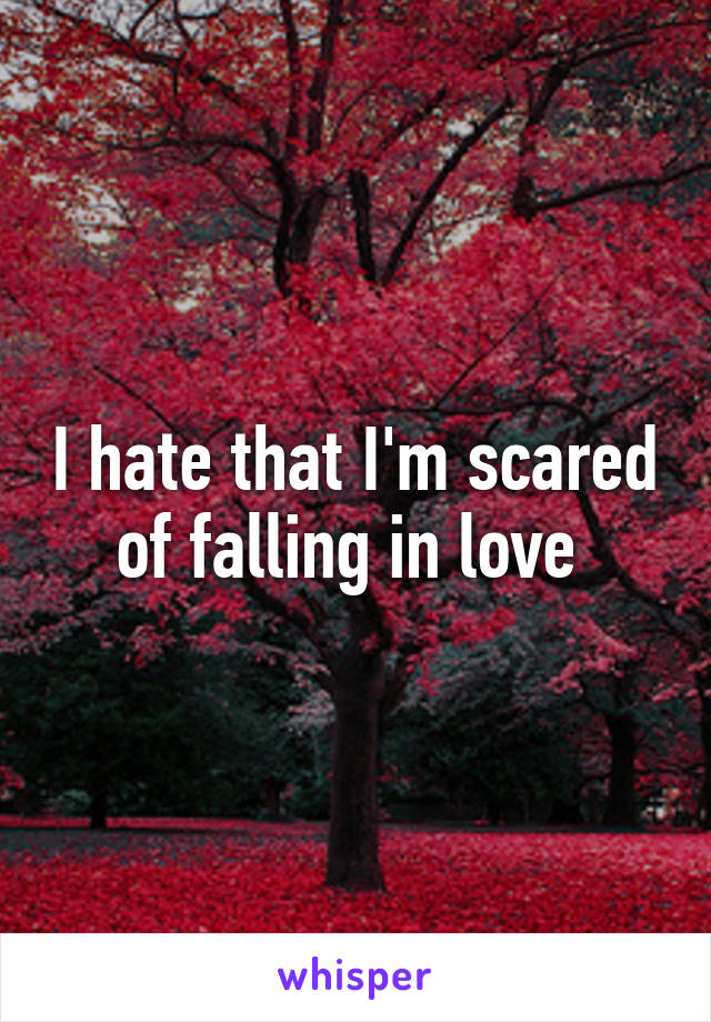 I hate that I'm scared of falling in love 