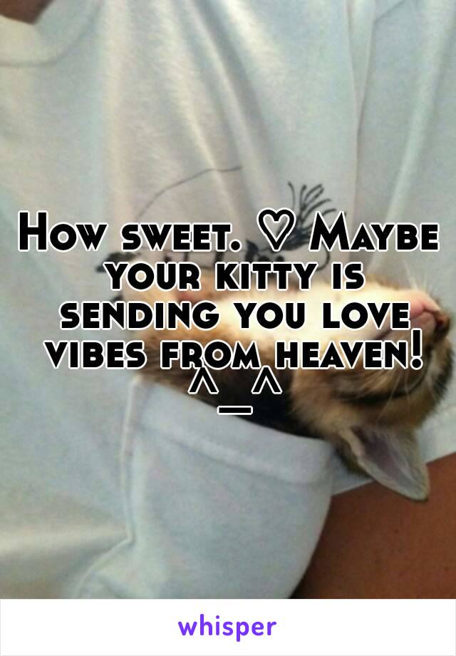 How sweet. ♡ Maybe your kitty is sending you love vibes from heaven! ^_^