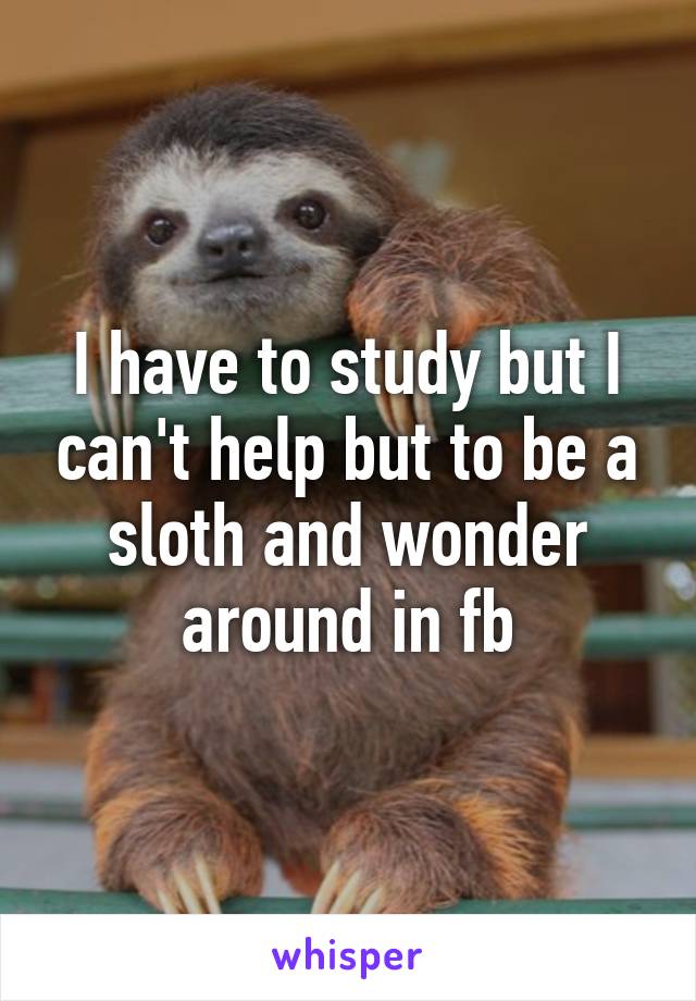 I have to study but I can't help but to be a sloth and wonder around in fb