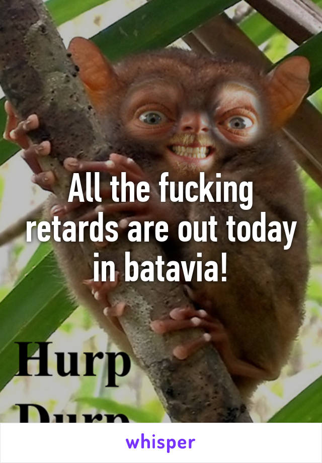 All the fucking retards are out today in batavia!