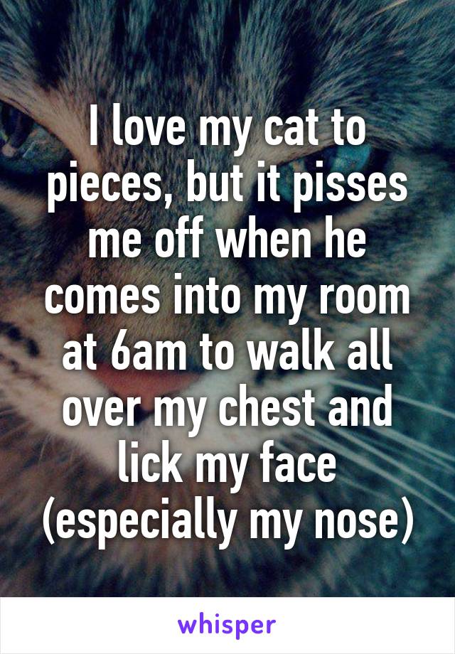 I love my cat to pieces, but it pisses me off when he comes into my room at 6am to walk all over my chest and lick my face (especially my nose)