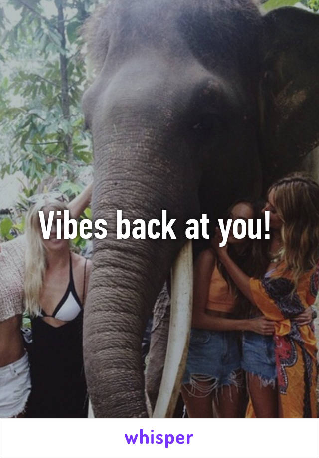 Vibes back at you! 