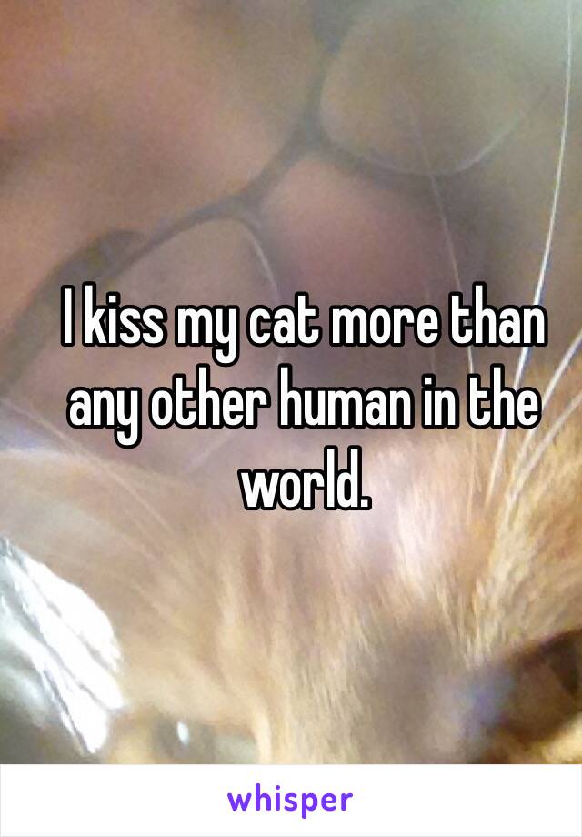 I kiss my cat more than any other human in the world.