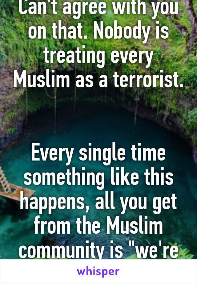 Can't agree with you on that. Nobody is treating every Muslim as a terrorist. 

Every single time something like this happens, all you get from the Muslim community is "we're not all like that". 