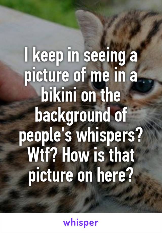 I keep in seeing a picture of me in a bikini on the background of people's whispers? Wtf? How is that picture on here?