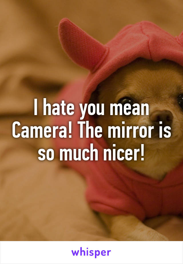 I hate you mean Camera! The mirror is so much nicer!