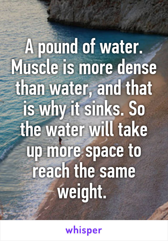 A pound of water. Muscle is more dense than water, and that is why it sinks. So the water will take up more space to reach the same weight. 