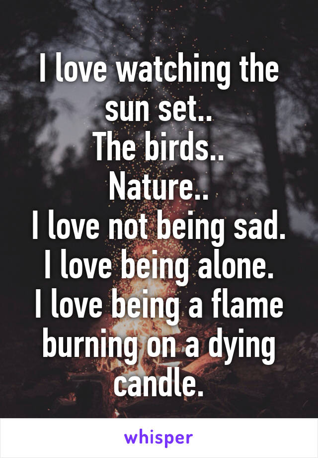 I love watching the sun set..
The birds..
Nature..
I love not being sad.
I love being alone.
I love being a flame burning on a dying candle.