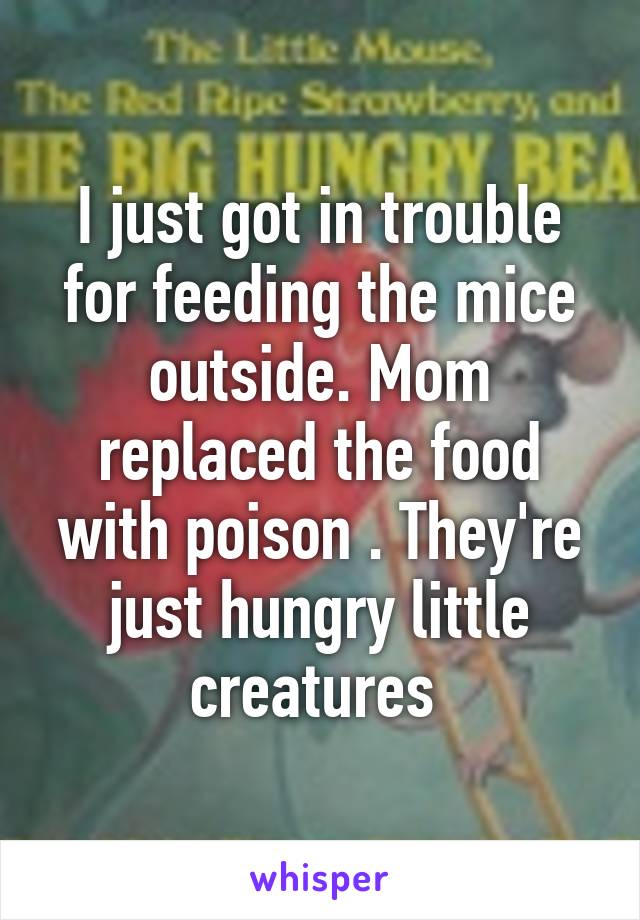 I just got in trouble for feeding the mice outside. Mom replaced the food with poison . They're just hungry little creatures 