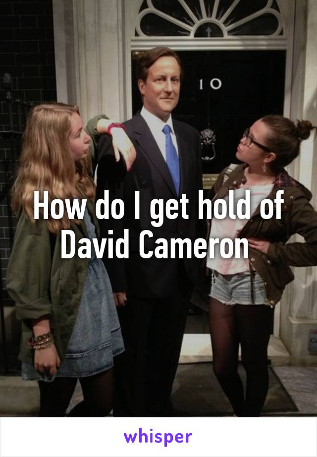 How do I get hold of David Cameron 