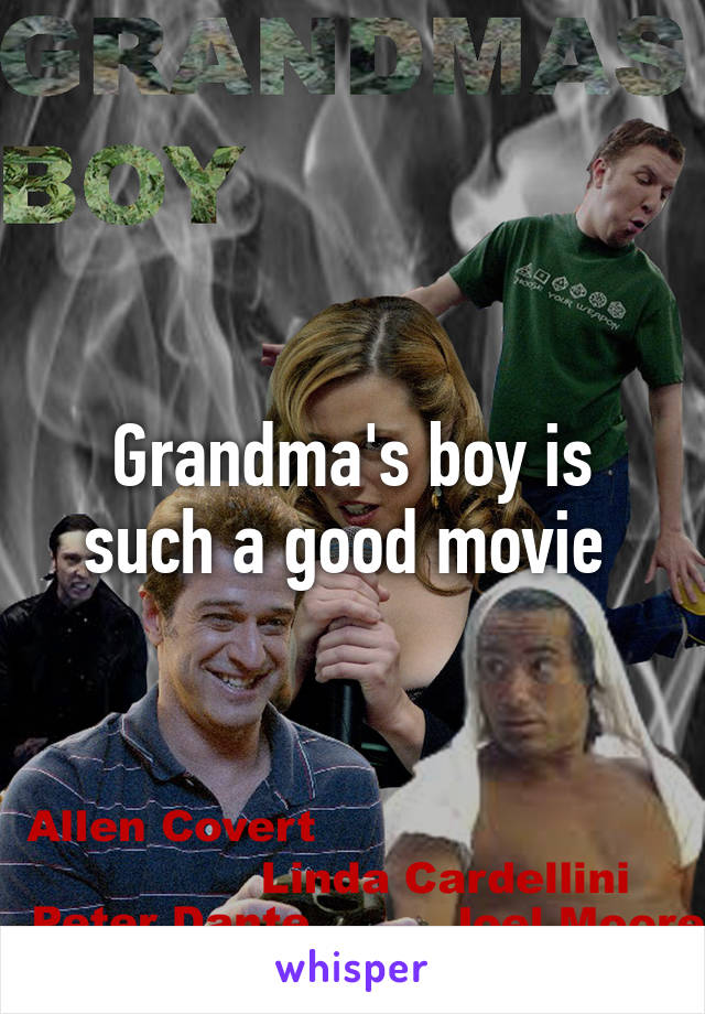 Grandma's boy is such a good movie 