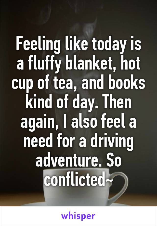 Feeling like today is a fluffy blanket, hot cup of tea, and books kind of day. Then again, I also feel a need for a driving adventure. So conflicted~