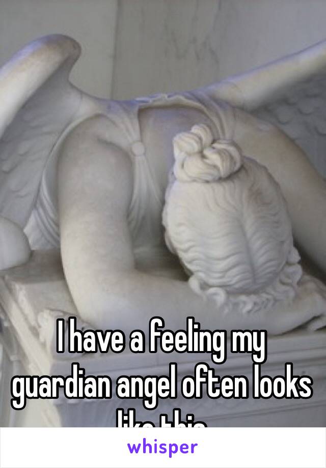 I have a feeling my guardian angel often looks like this