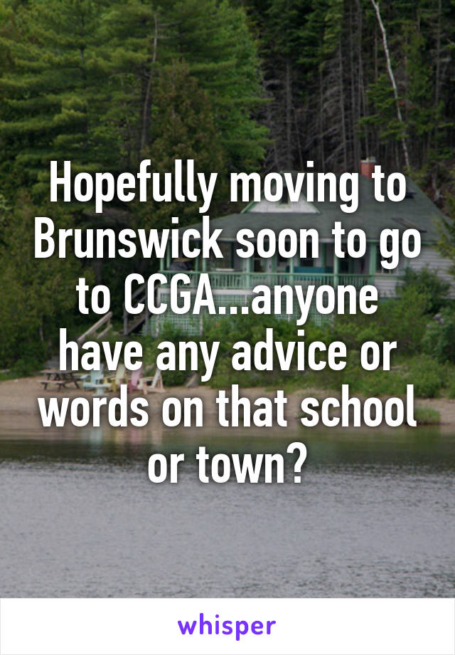 Hopefully moving to Brunswick soon to go to CCGA...anyone have any advice or words on that school or town?