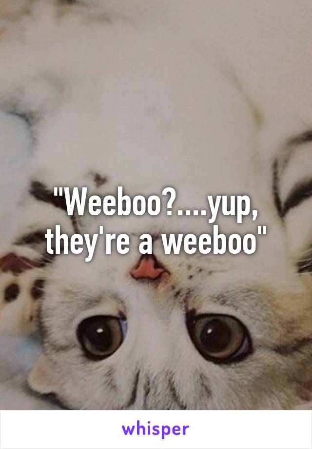 "Weeboo?....yup, they're a weeboo"