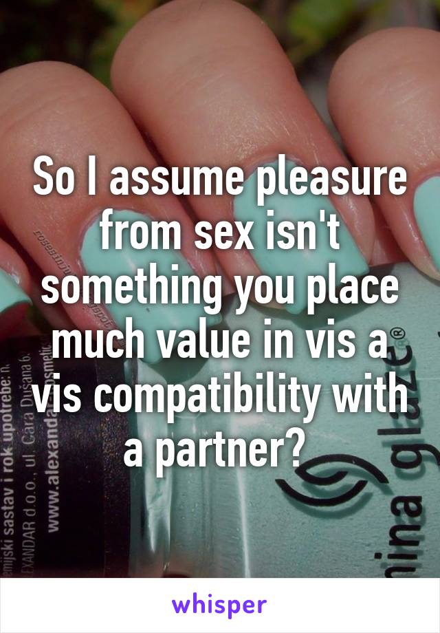 So I assume pleasure from sex isn't something you place much value in vis a vis compatibility with a partner? 