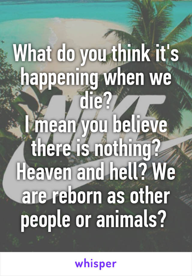 What do you think it's happening when we die?
I mean you believe there is nothing? Heaven and hell? We are reborn as other people or animals? 