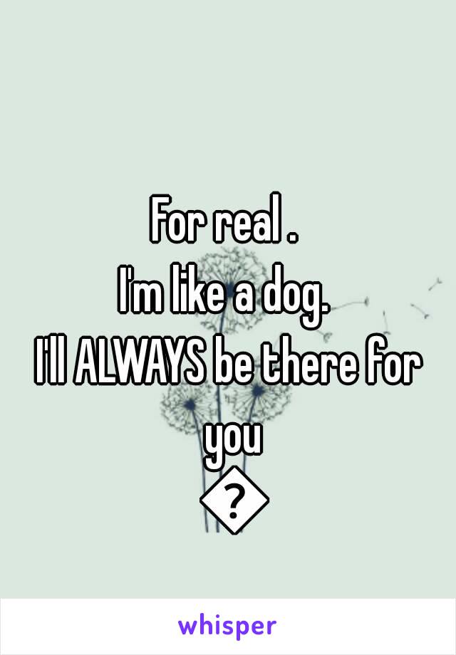 For real . 
I'm like a dog. 
I'll ALWAYS be there for you 🙇