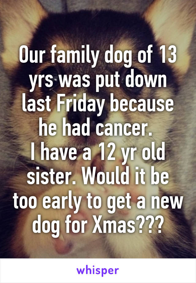 Our family dog of 13 yrs was put down last Friday because he had cancer. 
I have a 12 yr old sister. Would it be too early to get a new dog for Xmas???