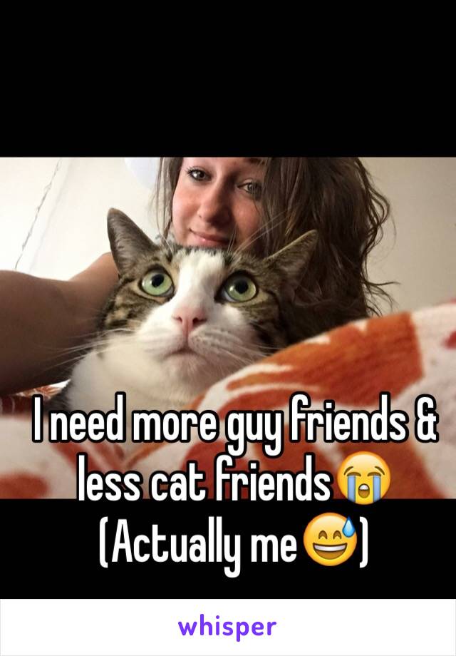 I need more guy friends & less cat friends😭
(Actually me😅)
