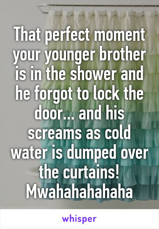 That perfect moment your younger brother is in the shower and he forgot to lock the door... and his screams as cold water is dumped over the curtains! Mwahahahahaha